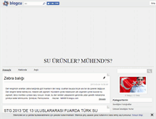 Tablet Screenshot of hbgokhan.blogcu.com
