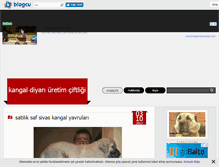 Tablet Screenshot of kangaldiyari.blogcu.com