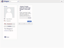 Tablet Screenshot of celikkapifirmalari.blogcu.com