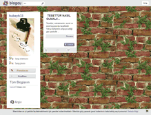 Tablet Screenshot of hubeyb33.blogcu.com