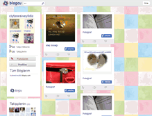 Tablet Screenshot of ciytanesiveyildiz.blogcu.com