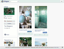 Tablet Screenshot of evblog.blogcu.com