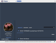 Tablet Screenshot of gezginkul.blogcu.com