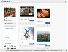 Tablet Screenshot of engingezer.blogcu.com